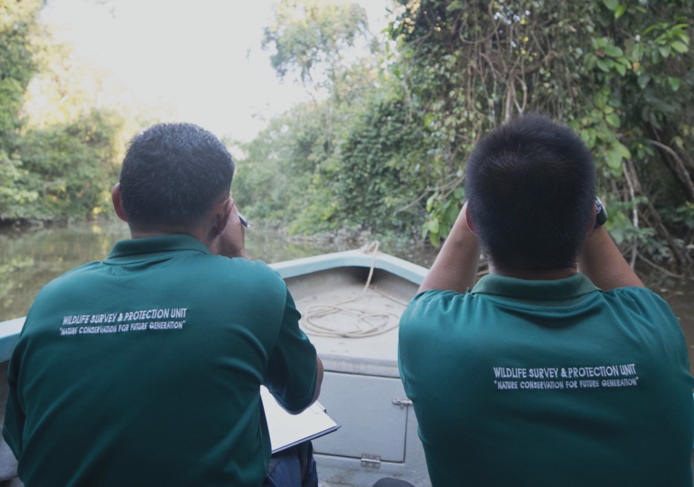 wildlife-surveys-image-taller
